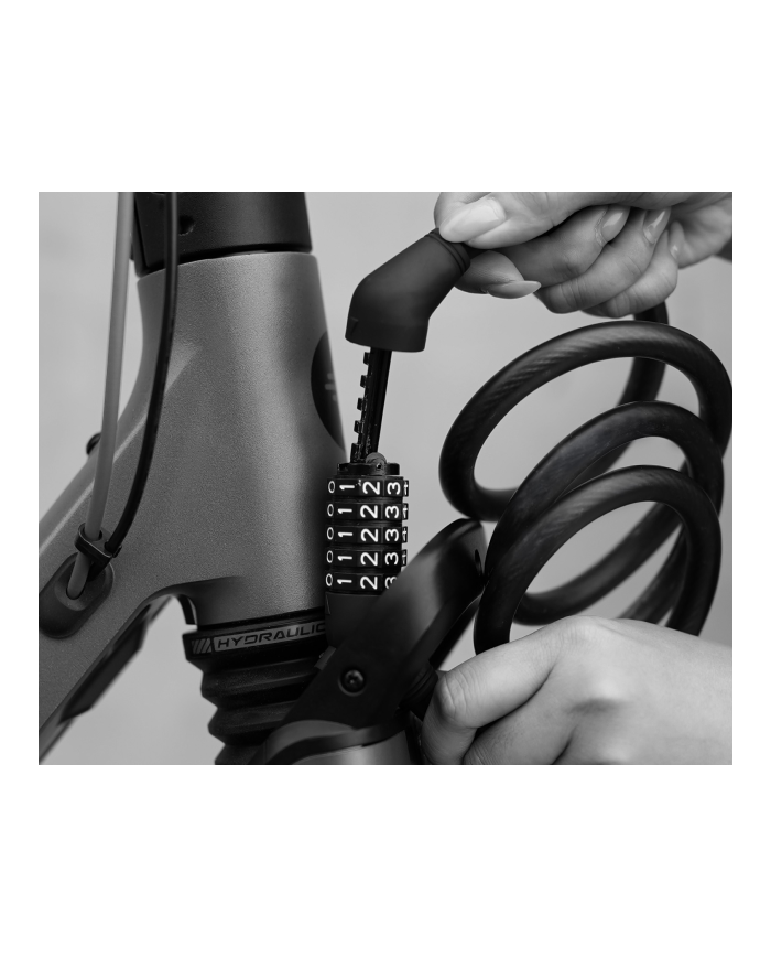 Ninebot F3 E|emovethings