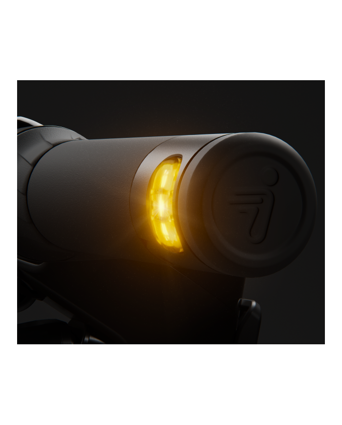 Ninebot F3 E|emovethings