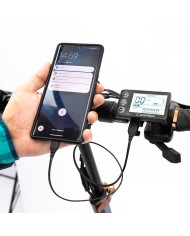 Patinete eléctrico smartGyro Speedway Pro|emovethings Patinete eléctrico smartGyro Speedway Pro|emovethings